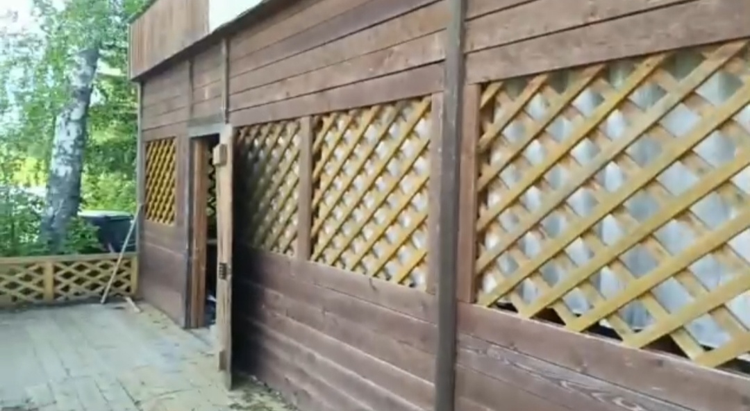 Будет эта красота в приюте или нет зависит от нас с вами 