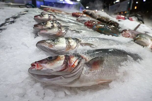    Фото: lenta.ru Диана Петровская