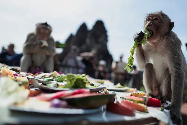    Фото: lenta.ru Алиса Седова