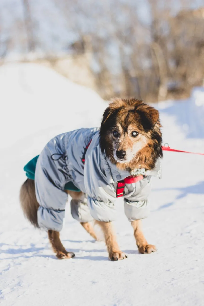Главный модник на районе!