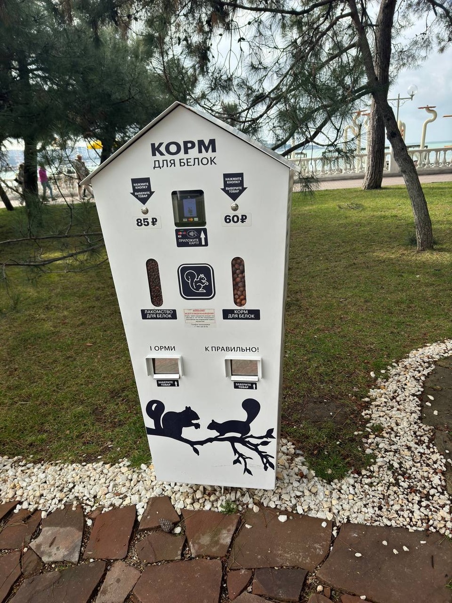 Личное фото автора- автомат с кормом для белок