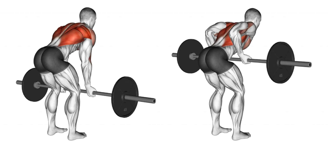 Не просто «крылья»: Топ-3 упражнения для создания по-настоящему мощной спины.