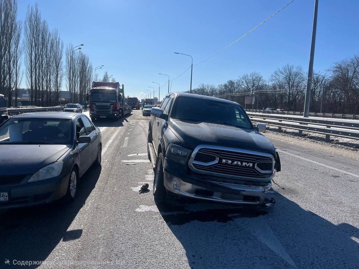     Фото: управление МВД