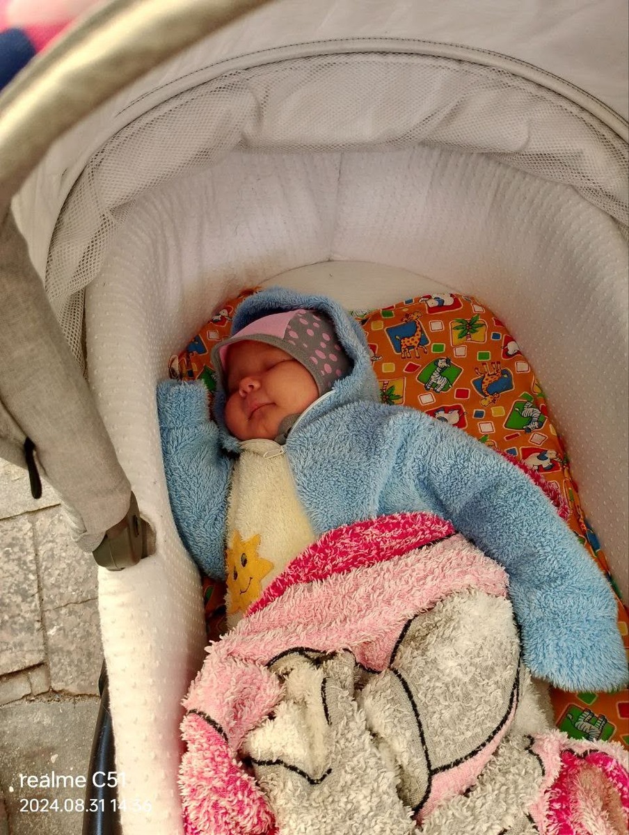 Откуда берутся дети