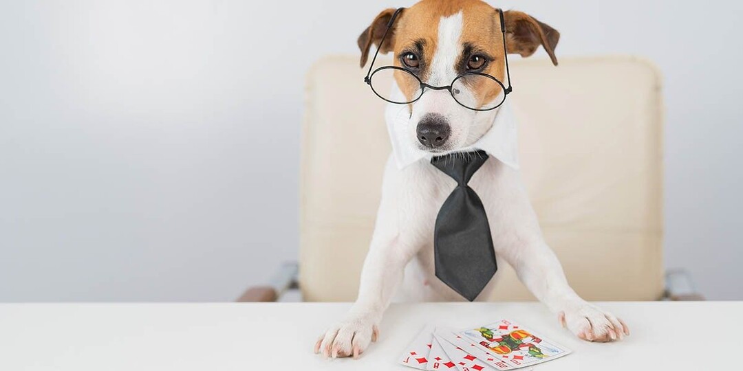 Как играть в покер: правила игры и комбинации карт