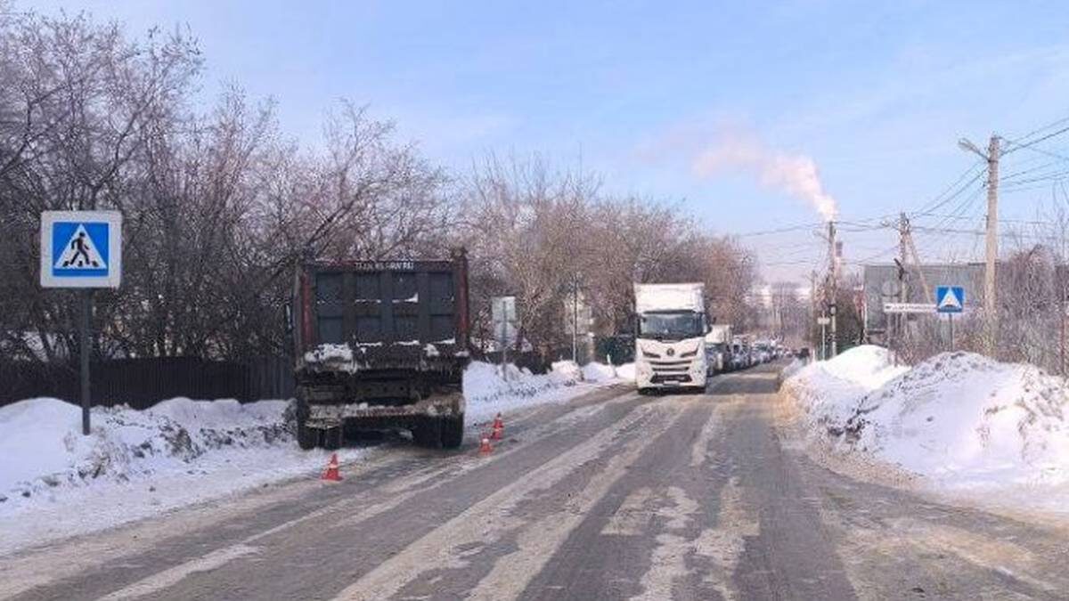    Фото: Пресс-служба ГУ МВД России по Московской области