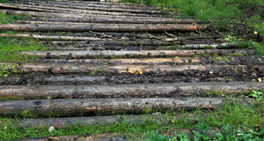    Фото "Про Город"