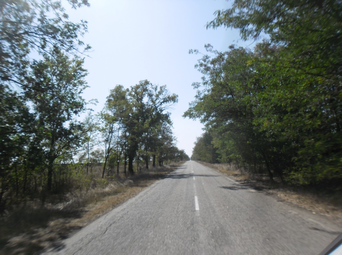 Дорога от нашего села к Сивашу.