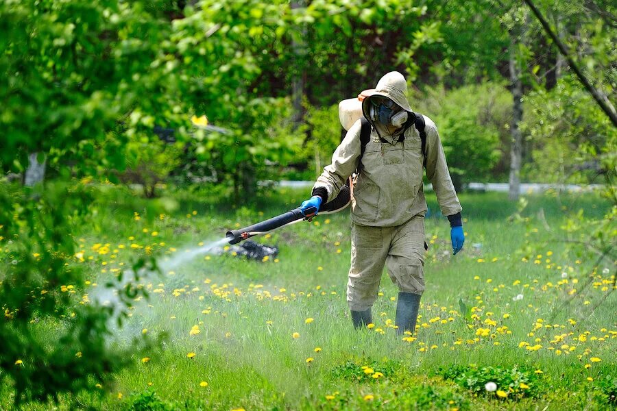 Фотография с собственного архива