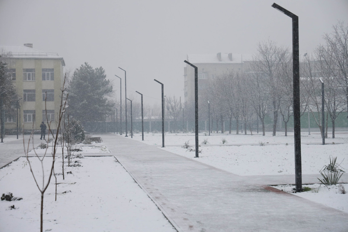    Фото: ТРК Таврия