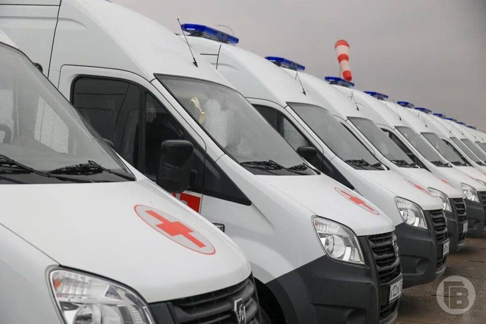    фото: Дмитрий Рогулин / "Городские вести"