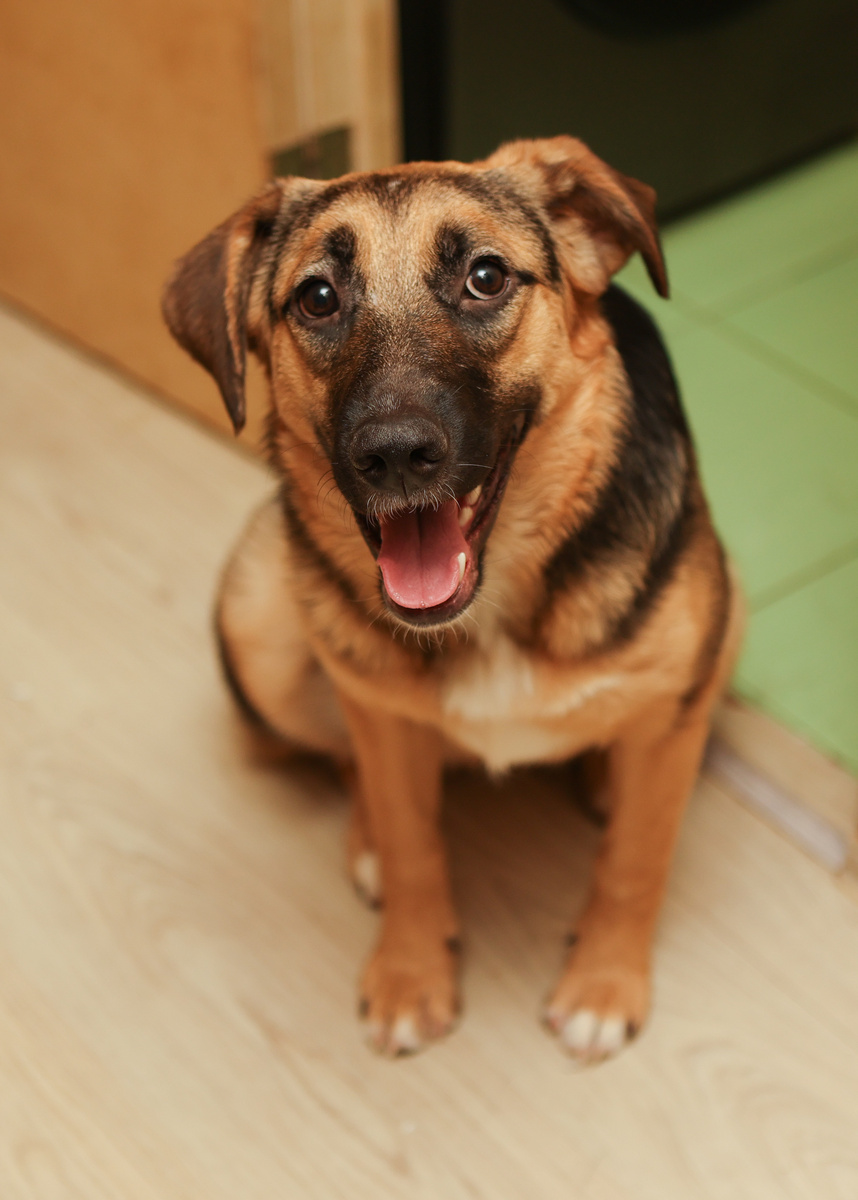 Ну вы там особо народ не пугайте