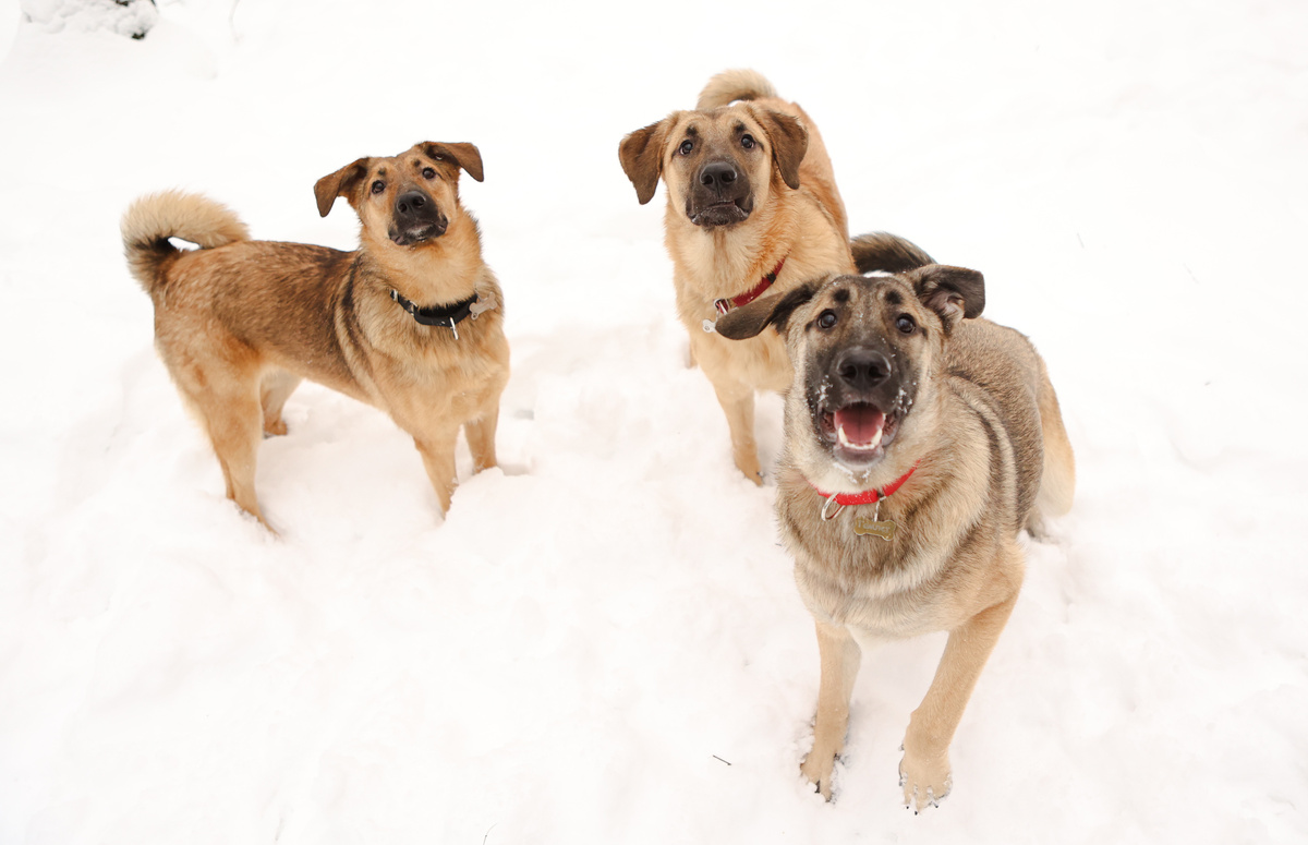 Мы были блатными самыми, да! На дачу ездили, а эти чернопопики нет