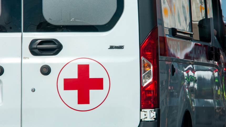    Фото: www.globallookpress.com/Svetlana Vozmilova