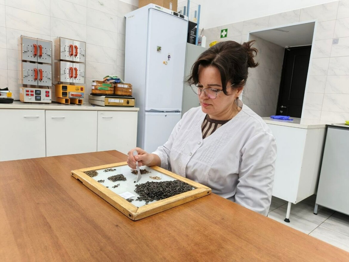 Фото: ФГБУ «ЦОК АПК» в РТ