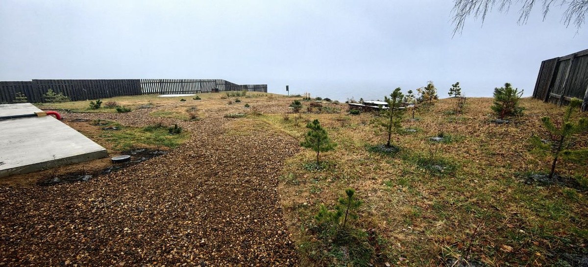 А еще мы летом купили электрическую аккумуляторную газонокосилку и теперь покос всего участка занимает не день, а максимум час времени. За счет того, что до холодов мы закончили систему водоотведения от дома, я также закончил планировку участка вокруг дома, что очень радует - меньше открытого песка, меньше грязи в дом, больше аккуратности и ухоженности 