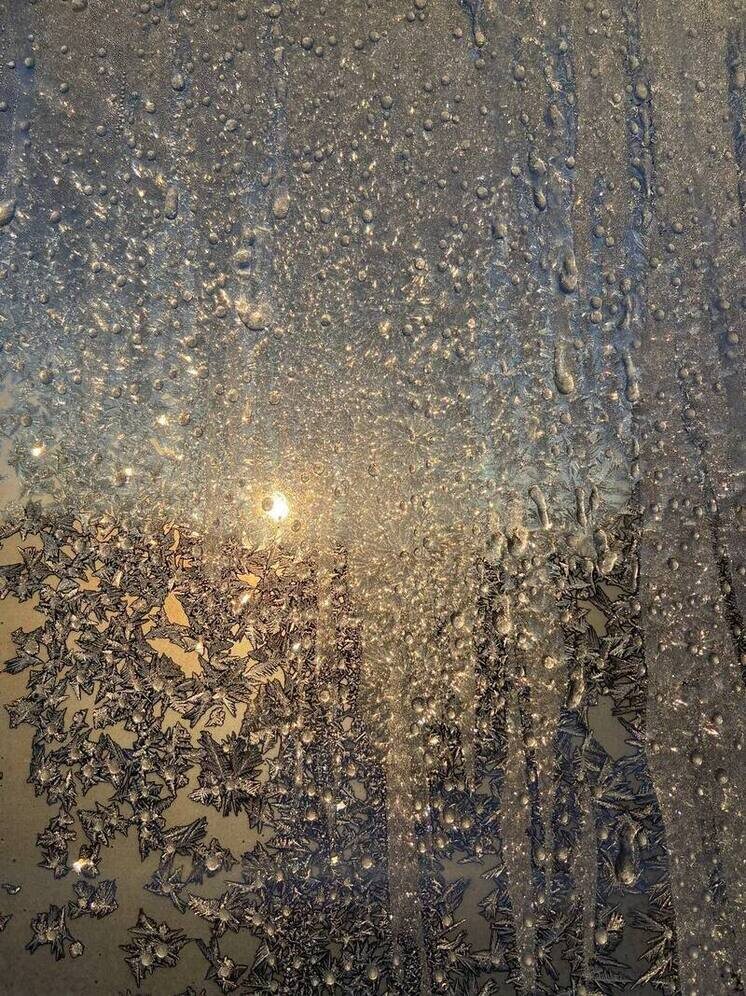   Елена Полякова