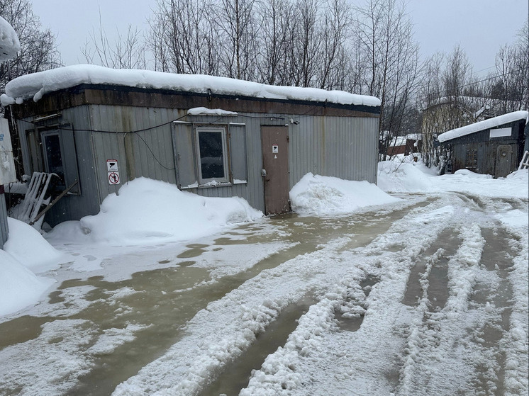     Фото приюта Тишкин Дом в ВК