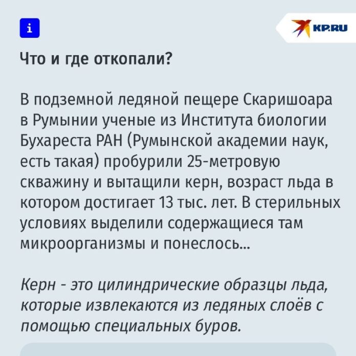    Исследование уникального микроба Psychrobacter SC65A.3, сохраняющегося в ледяных слоях, открывает новые горизонты для биотехнологий и терапии