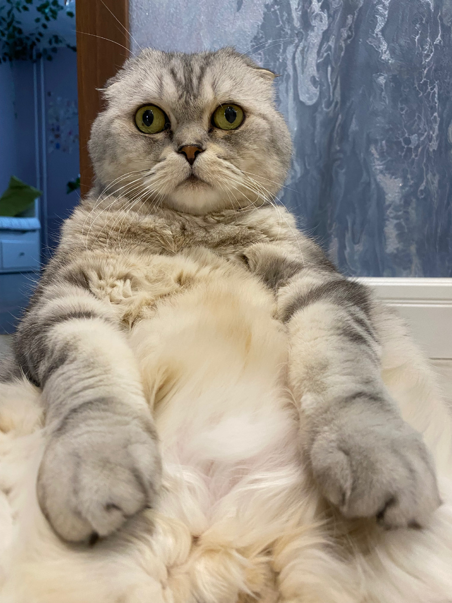 Из личного архива 