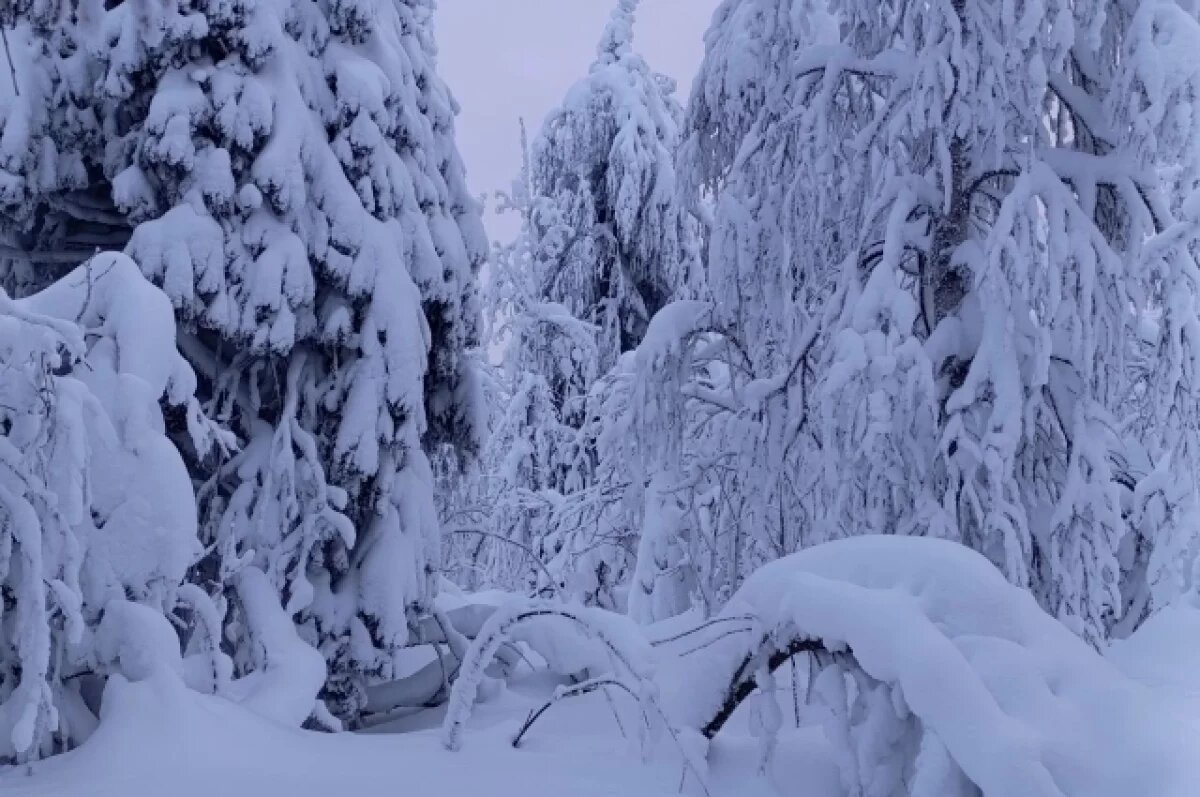    На страже «зелёного пояса».