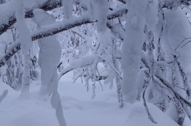    Фото: Минприроды Пермского края