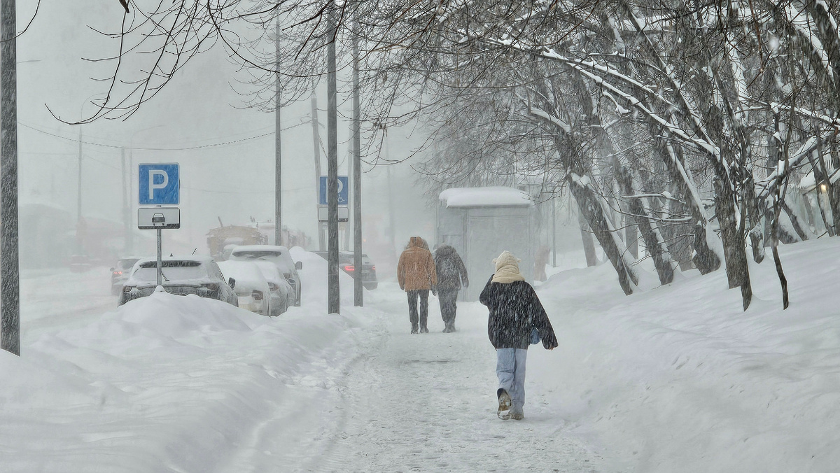 Фото: Shutterstock