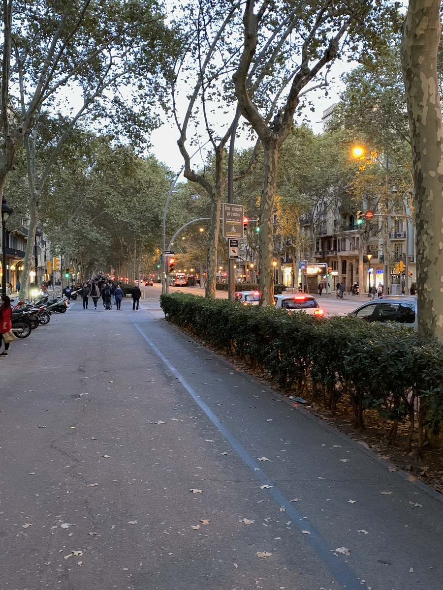 Гран Виа де лес Корс Каталанес