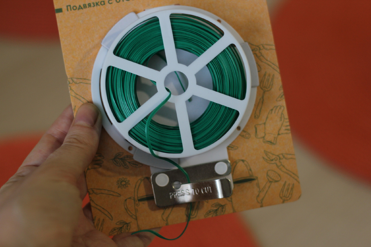 Подвязку тестировала все прошлое лето