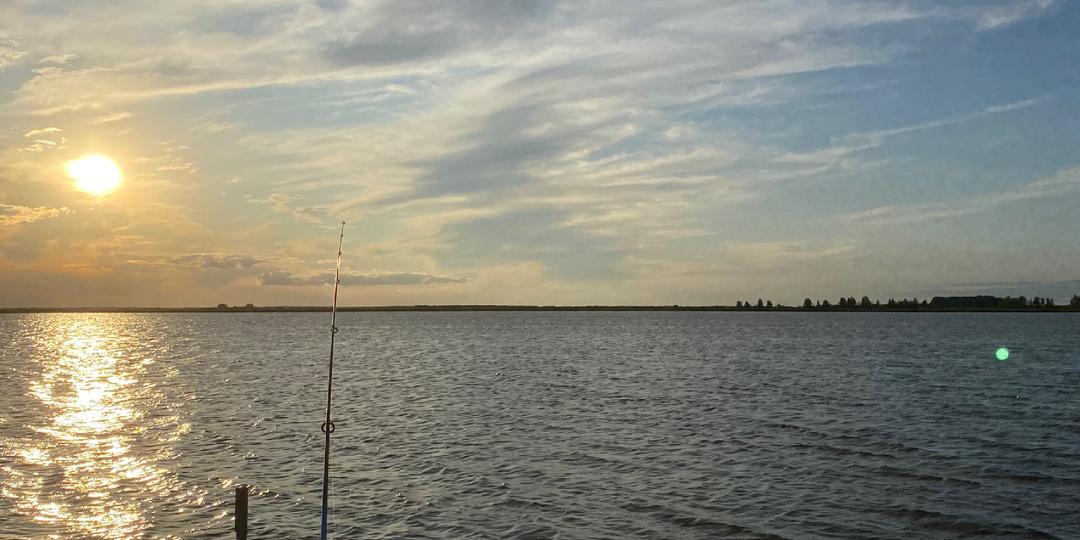 Рыбалка на фидер: подробное руководство от выбора снастей до секретов опытных рыболовов