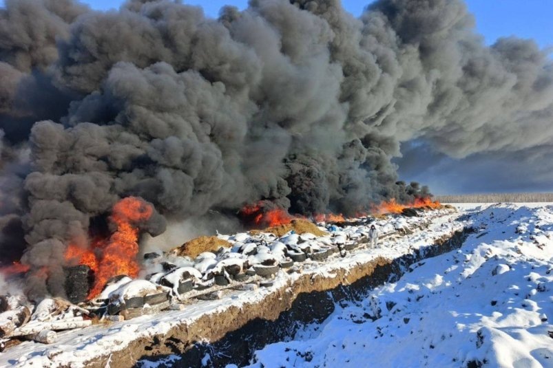     В Москаленском районе заметили сжигание туш скота. Фото: телеграм- канал (18+) «ЧП Омск»
