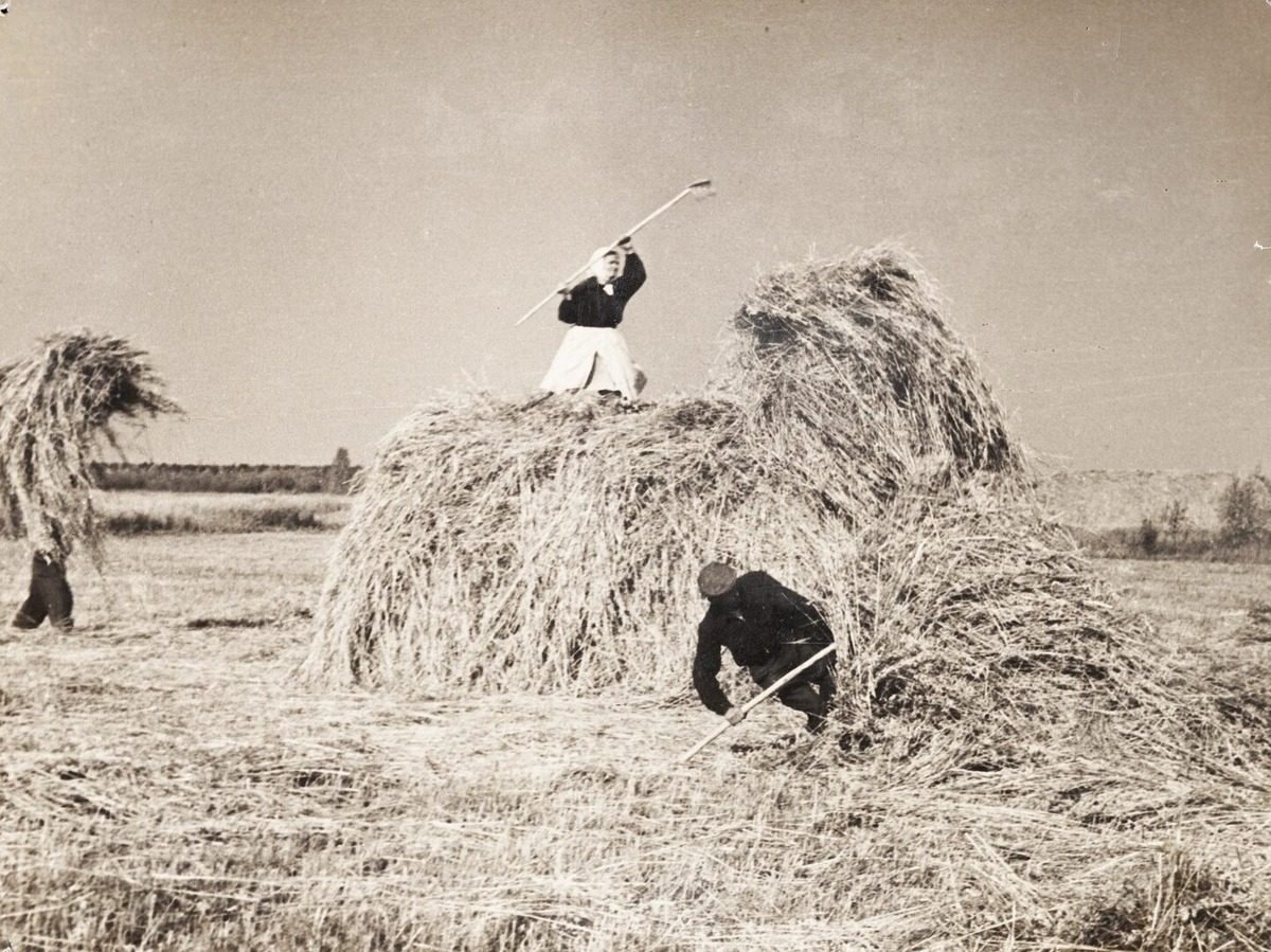 Взято из открытых источников интернета Яндекс.