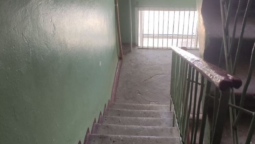    Фото: «Брянские новости»