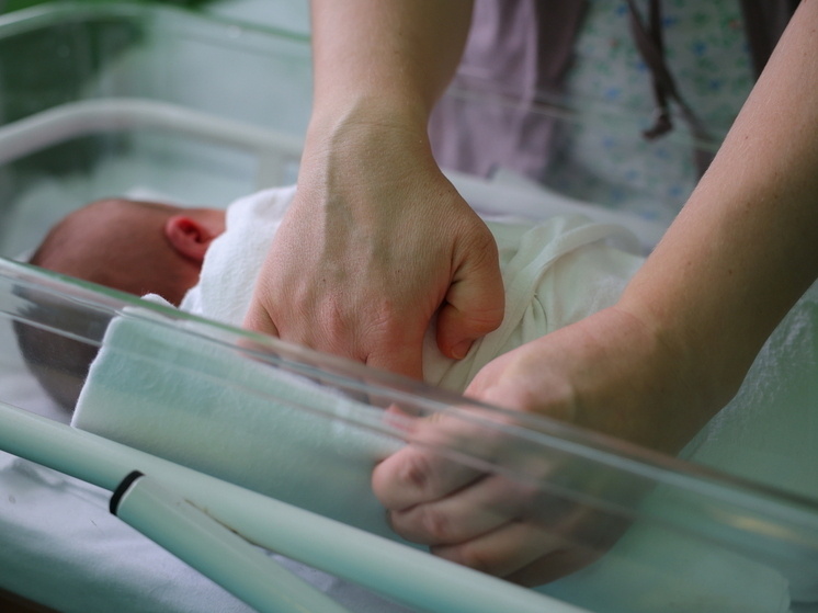     © Фото: ИД «Волгоградская правда» / Кирилл Брага.