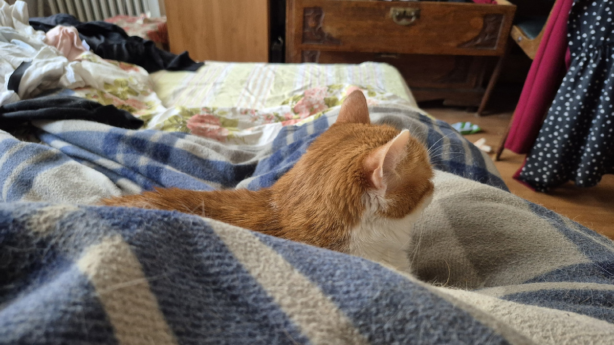 а это мы проснулись