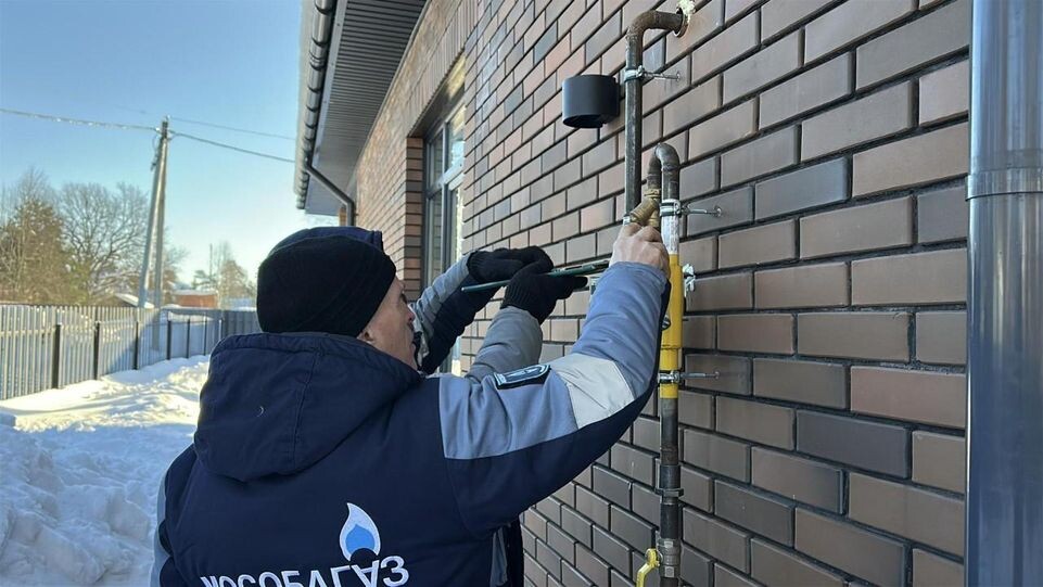     REGIONS / Кристина Тришина