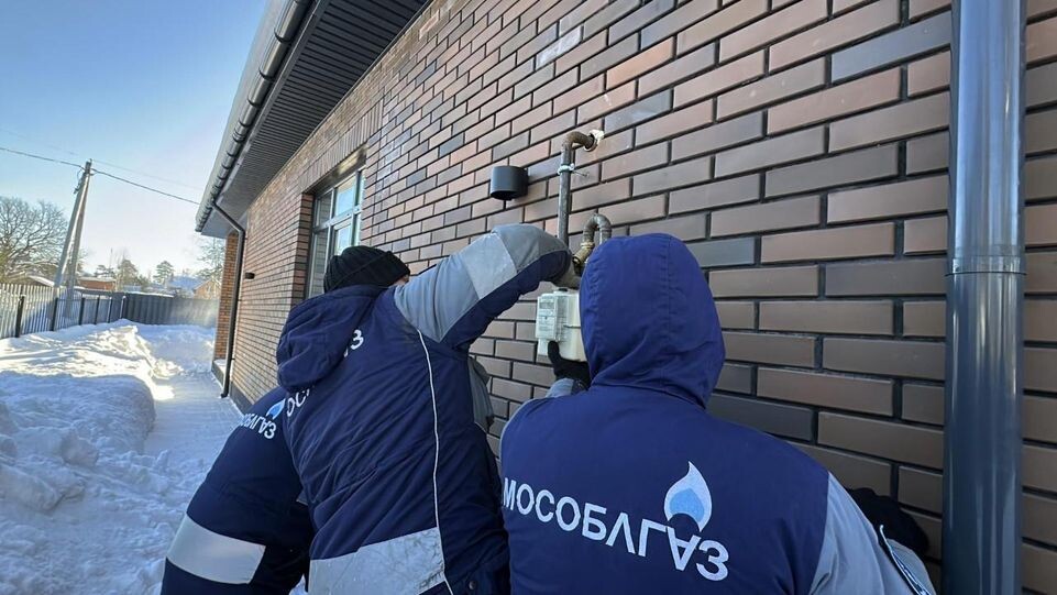     REGIONS / Кристина Тришина