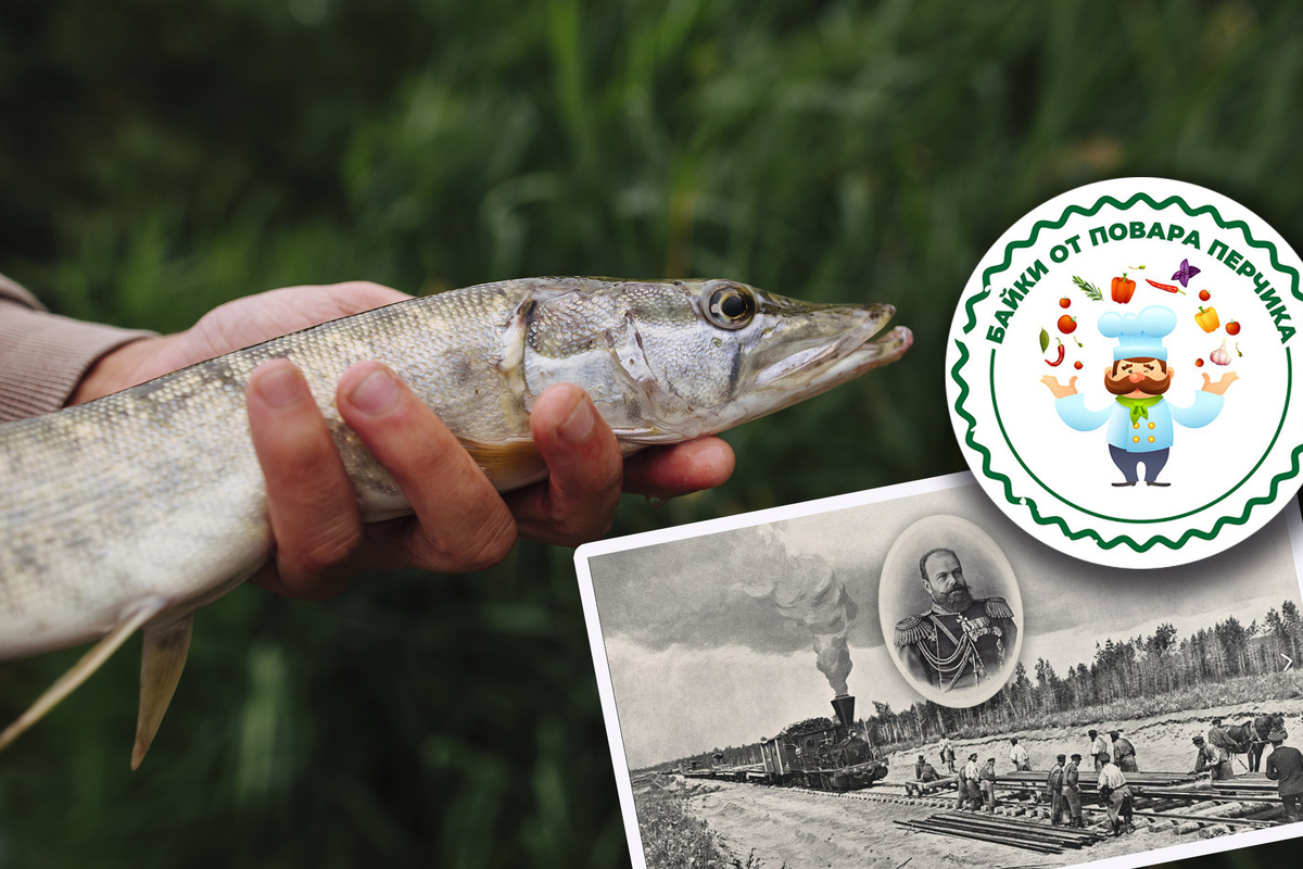 Александр III предпрочитал скромную русскую кухню. Любимыми блюдами была щучина и запеченая в печке гурьевская каша из манки.