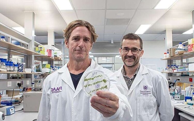    Фото: Megan Pope