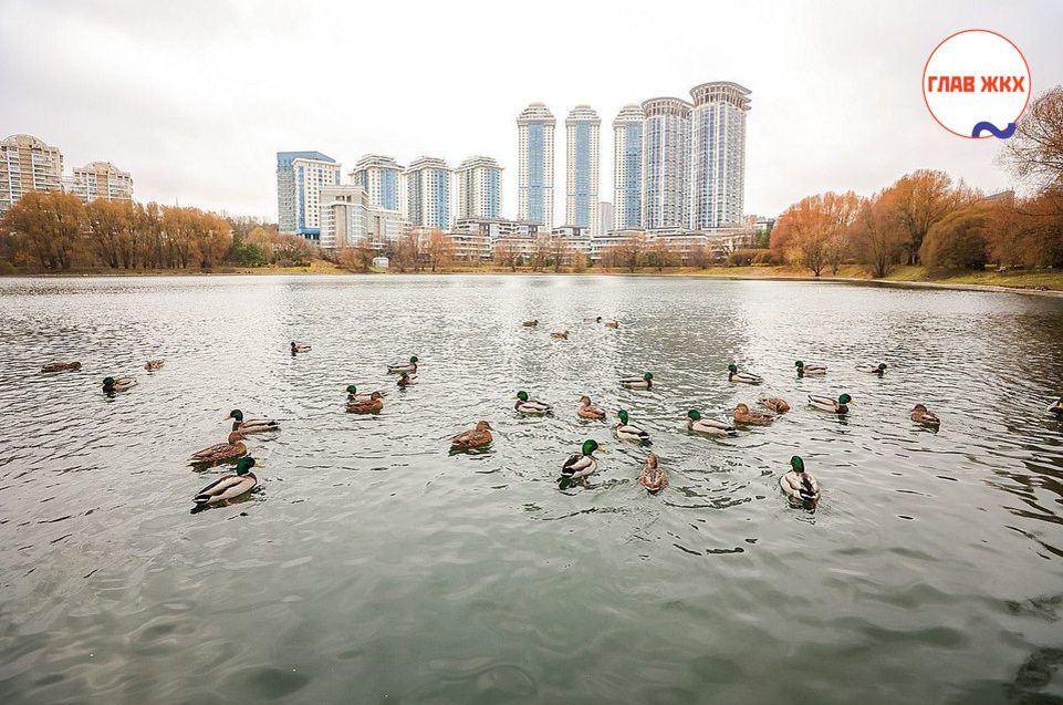 В Москве в 2026 году реабилитируют 13 городских водоёмов
