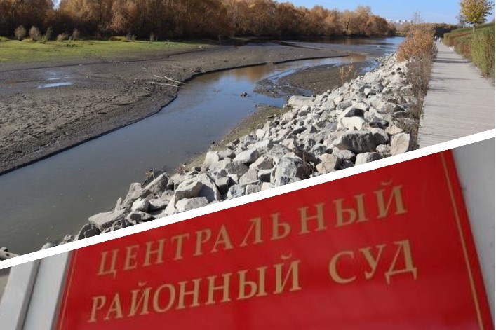    Фото: коллаж "Прецедента"