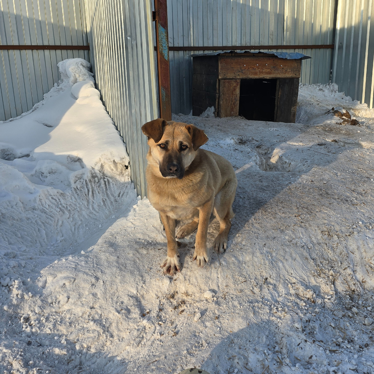 грустные глаза смотрят сквозь зимнюю безнадёжность