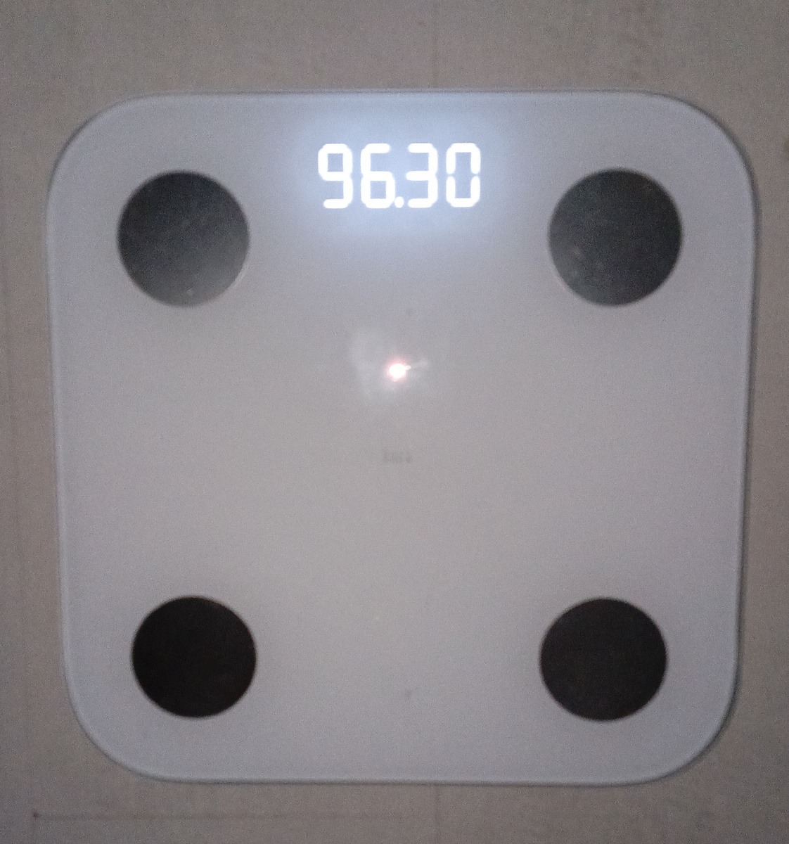 Вес на 24.02.2026 96,3 кг