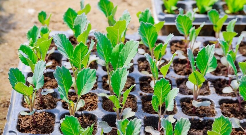 фото 123RF/zhakyaroslav