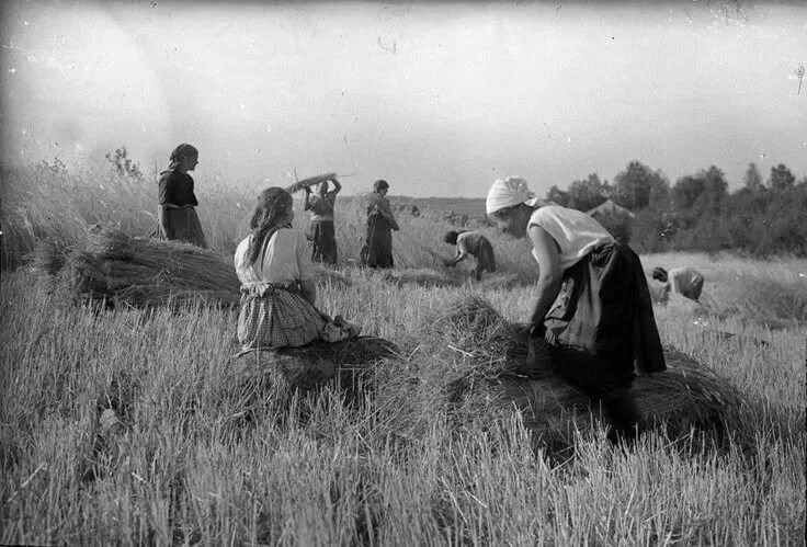 Взято из открытых источников интернета Яндекс.