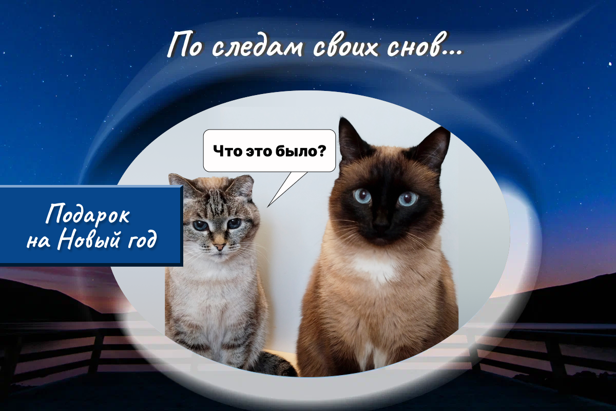 Это наши кошки, Алиша и Фелюша. Утром они приходят пить чай, я даю им немного творожного сыра - они его любят. Это как раз утро, они требуют свои утренние вкусняшки.