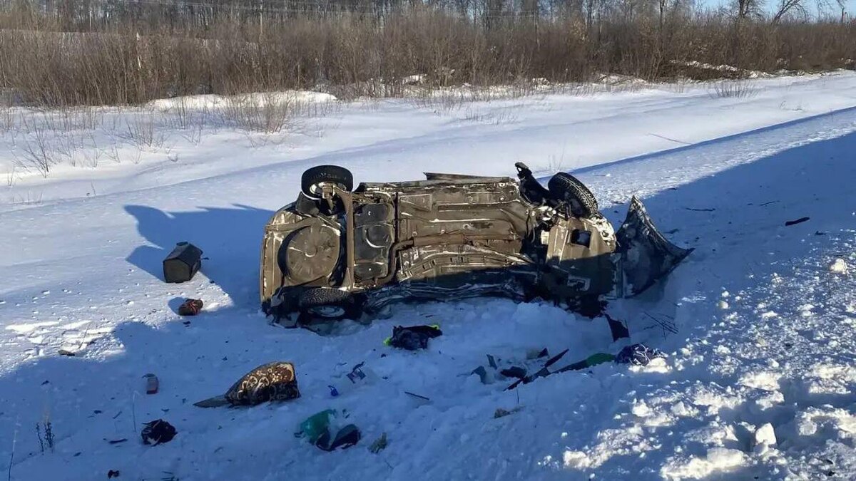    Фото: t.me/ptprok