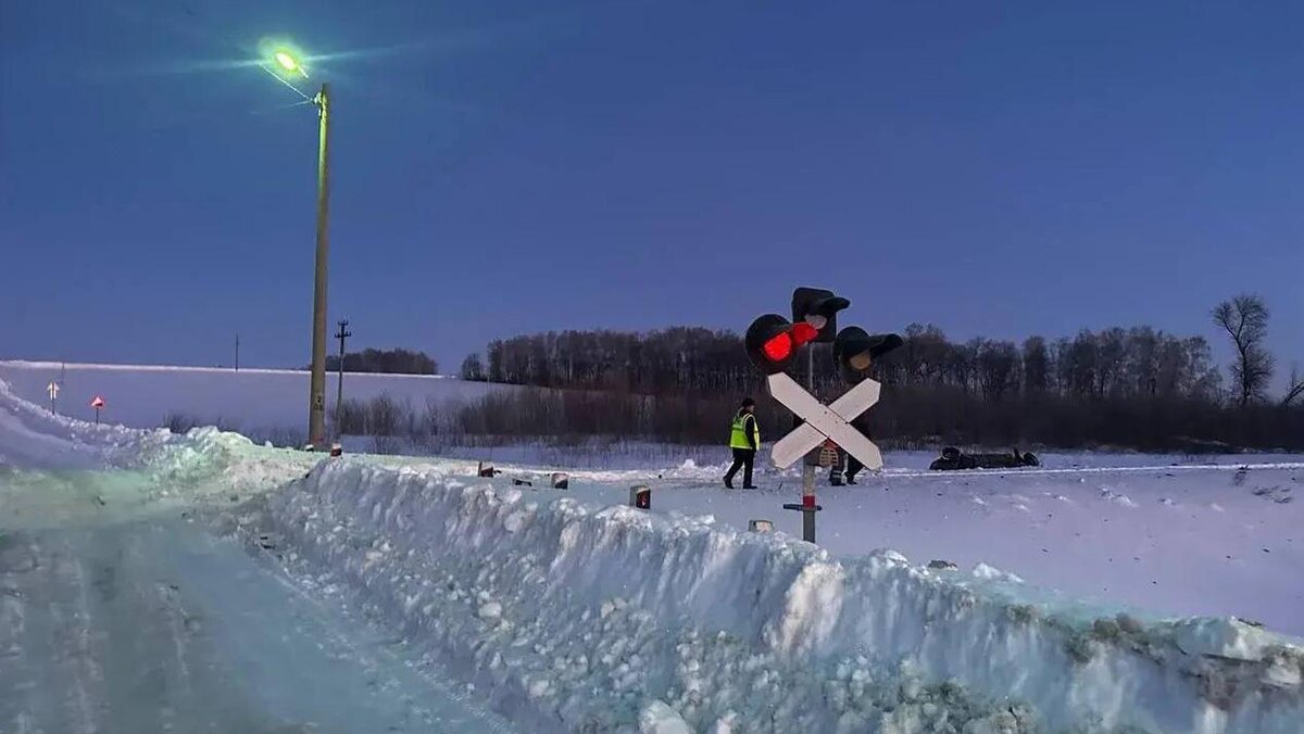    Фото: t.me/ptprok