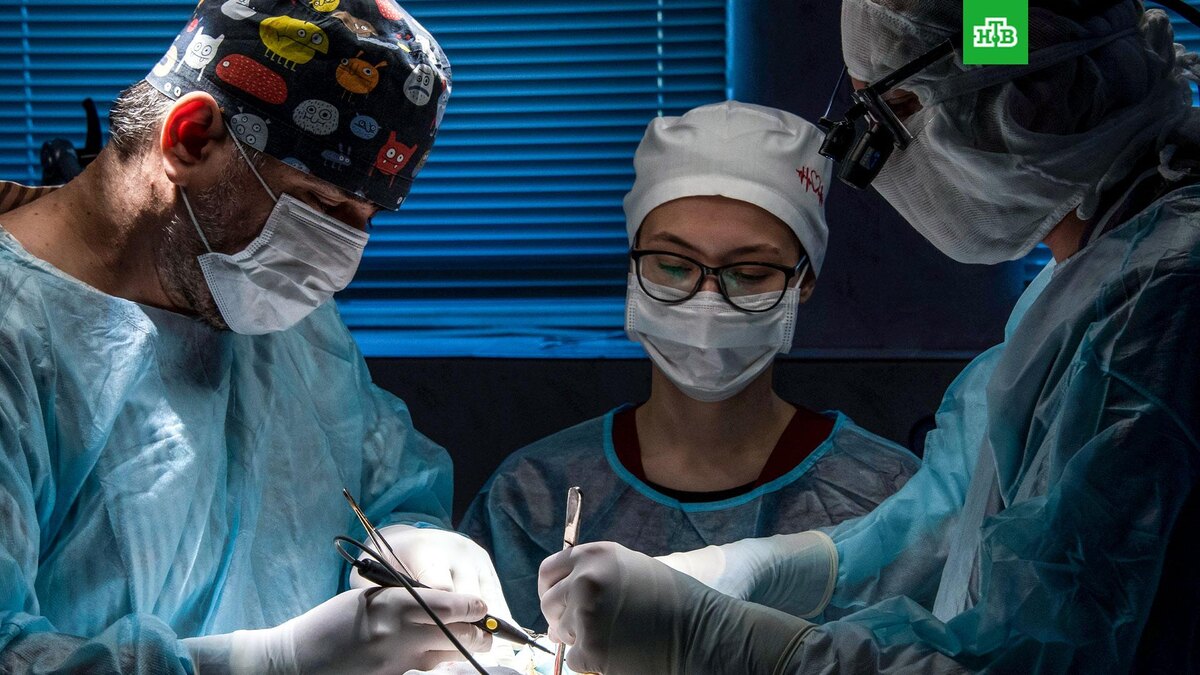    Фото: РИА Новости © 2026, Дмитрий Макеев