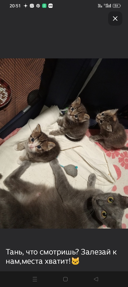 Невасенька такой смешной, Лизонька и я! Мама с нами! Эх, детство беззаботное!🐱